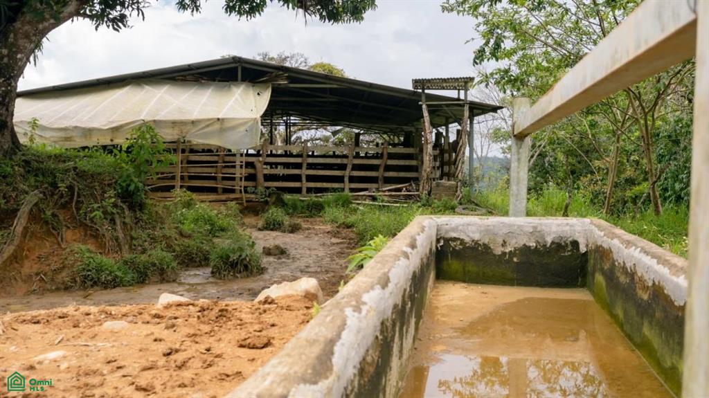 56-Acre Sustainable Farm for Sale in Limoncito, Coto Brus, Costa Rica – Abundant Water & Income Potential