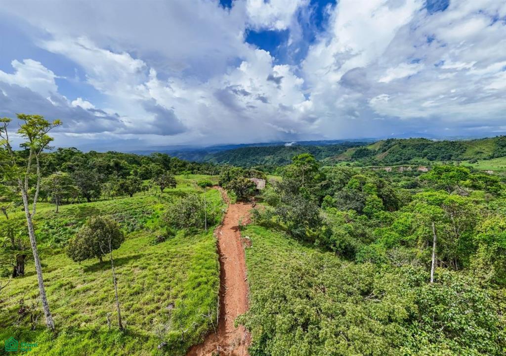 56-Acre Sustainable Farm for Sale in Limoncito, Coto Brus, Costa Rica – Abundant Water & Income Potential