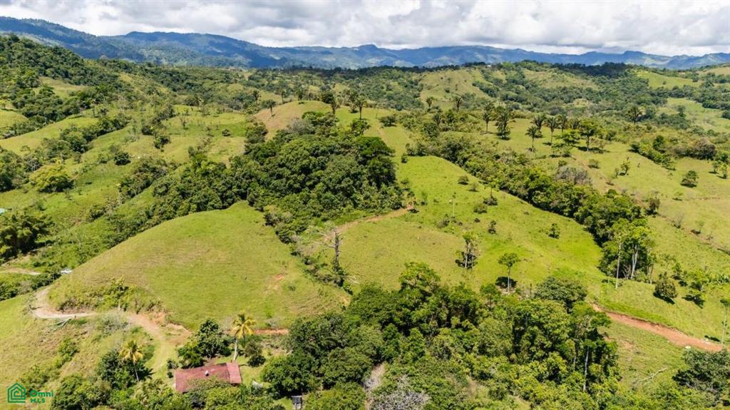 56-Acre Sustainable Farm for Sale in Limoncito, Coto Brus, Costa Rica – Abundant Water & Income Potential