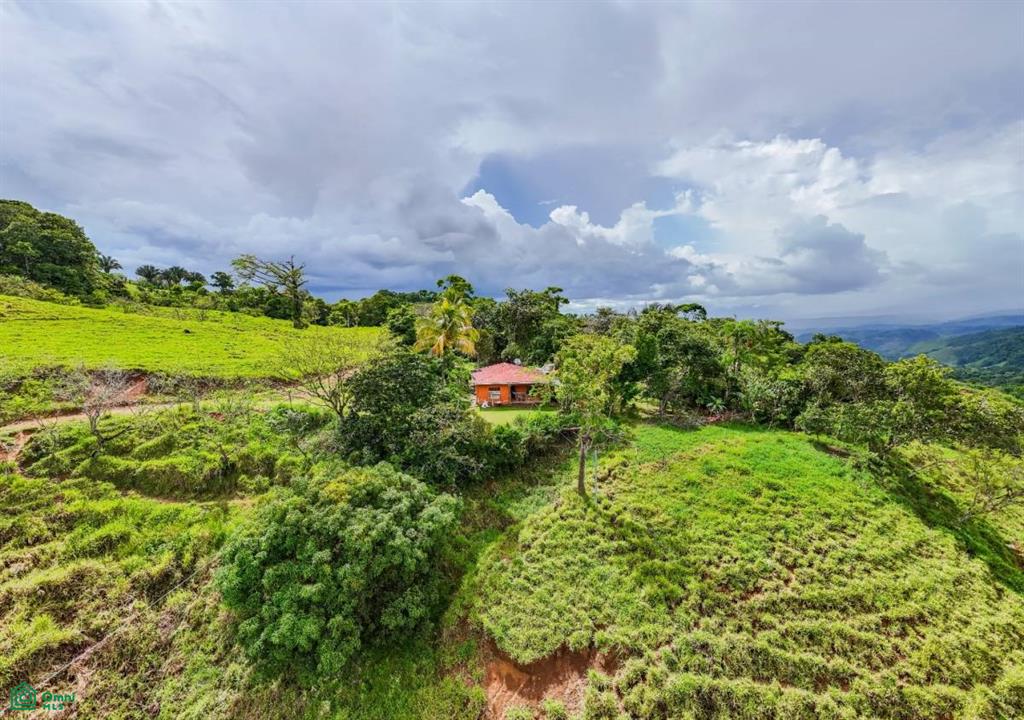 56-Acre Sustainable Farm for Sale in Limoncito, Coto Brus, Costa Rica – Abundant Water & Income Potential