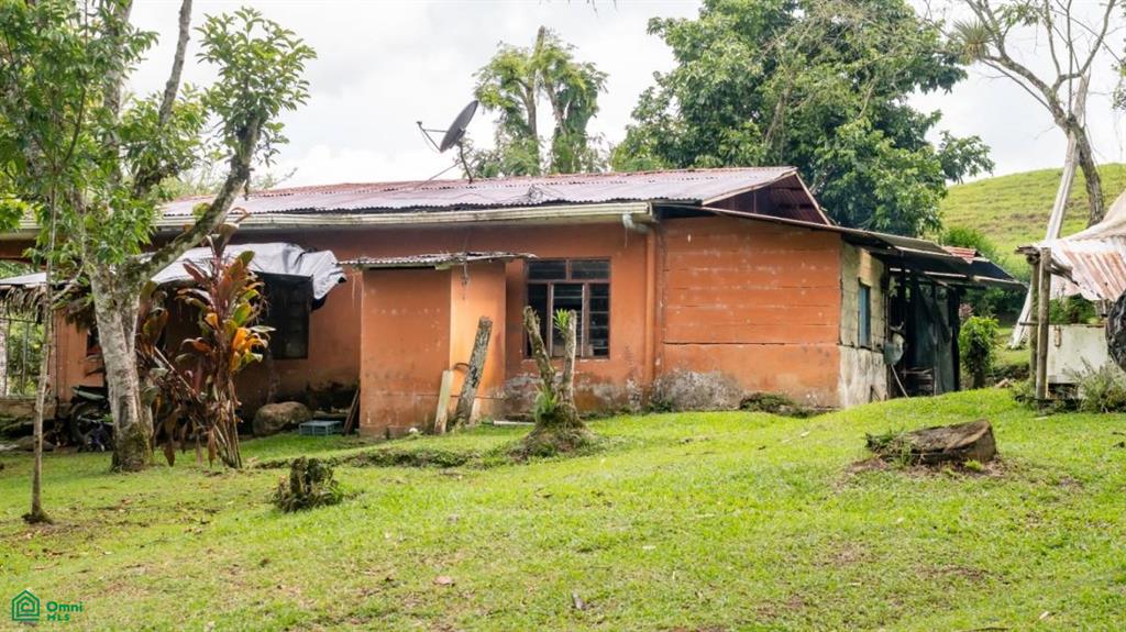 56-Acre Sustainable Farm for Sale in Limoncito, Coto Brus, Costa Rica – Abundant Water & Income Potential