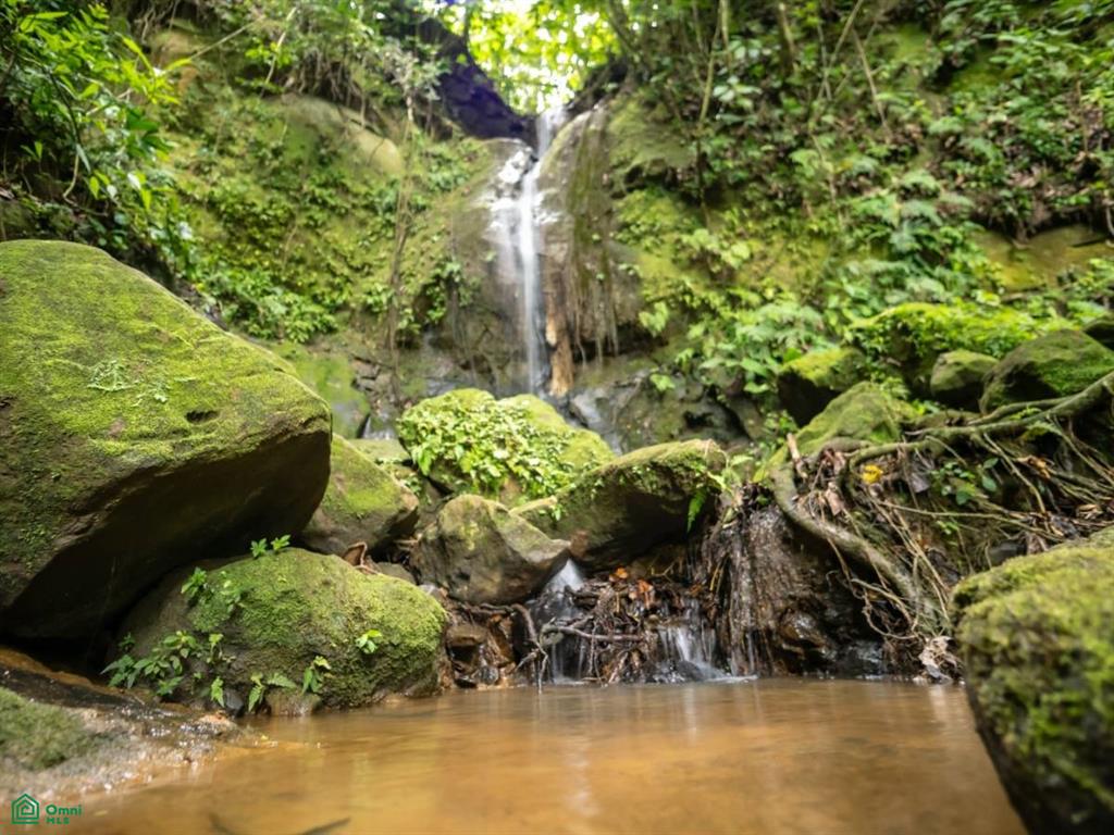 56-Acre Sustainable Farm for Sale in Limoncito, Coto Brus, Costa Rica – Abundant Water & Income Potential