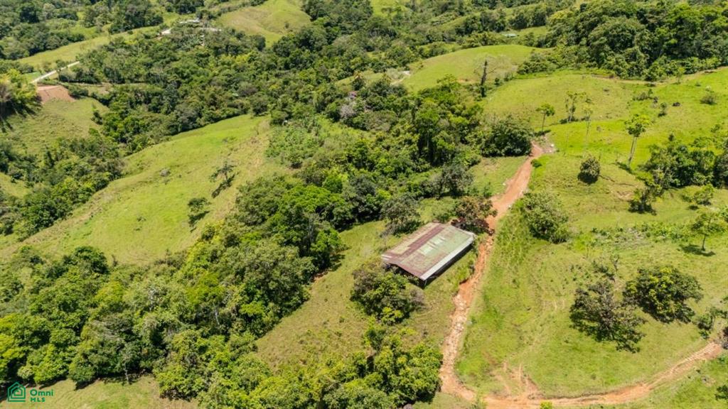 56-Acre Sustainable Farm for Sale in Limoncito, Coto Brus, Costa Rica – Abundant Water & Income Potential