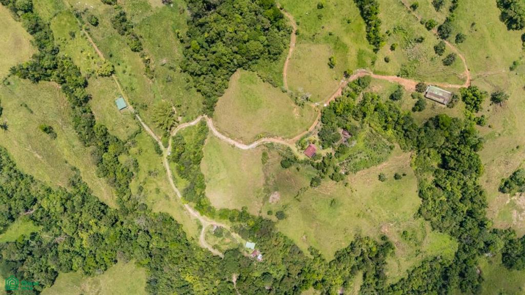 56-Acre Sustainable Farm for Sale in Limoncito, Coto Brus, Costa Rica – Abundant Water & Income Potential