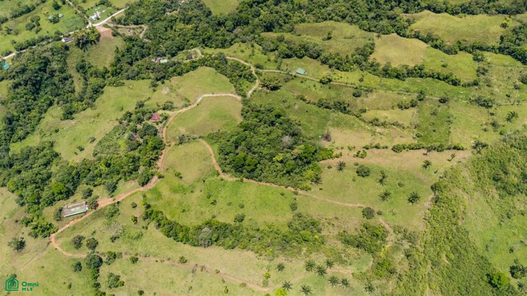 56-Acre Sustainable Farm for Sale in Limoncito, Coto Brus, Costa Rica – Abundant Water & Income Potential