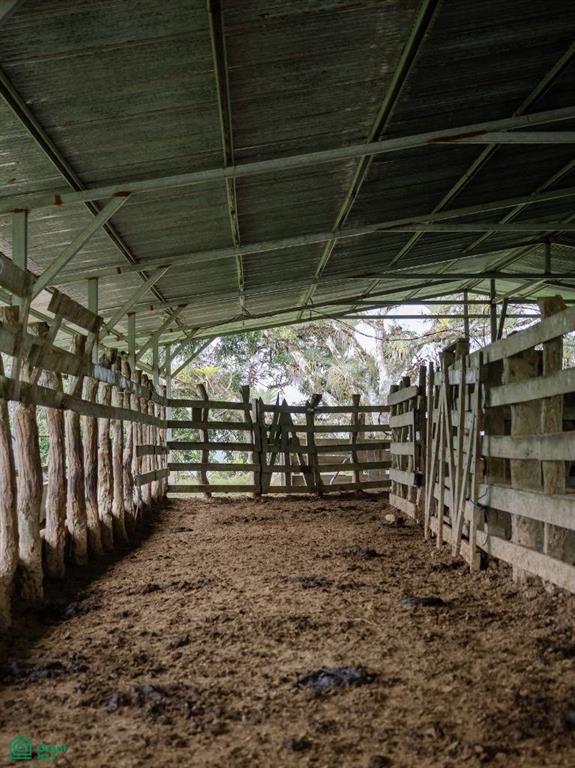 56-Acre Sustainable Farm for Sale in Limoncito, Coto Brus, Costa Rica – Abundant Water & Income Potential