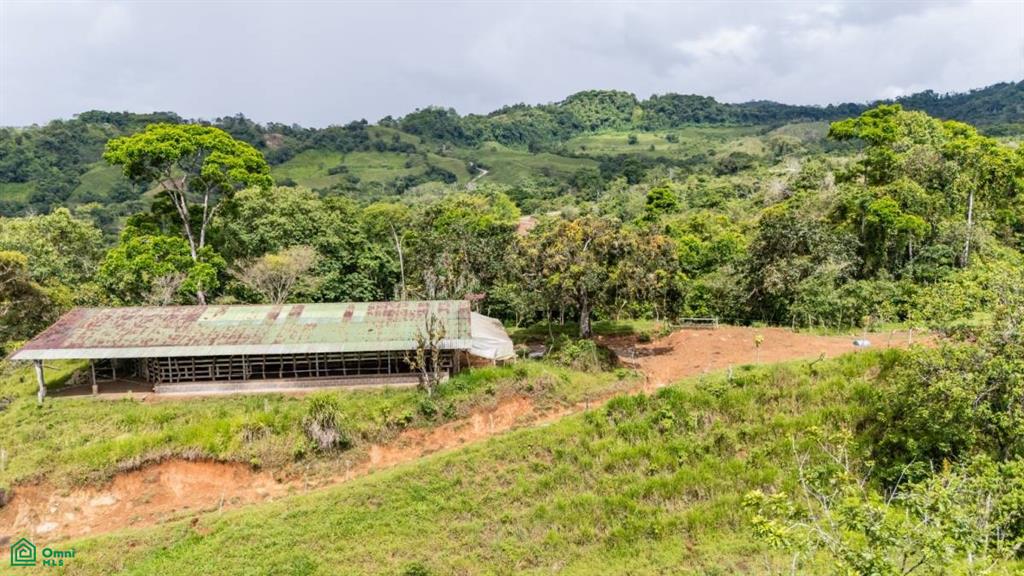56-Acre Sustainable Farm for Sale in Limoncito, Coto Brus, Costa Rica – Abundant Water & Income Potential