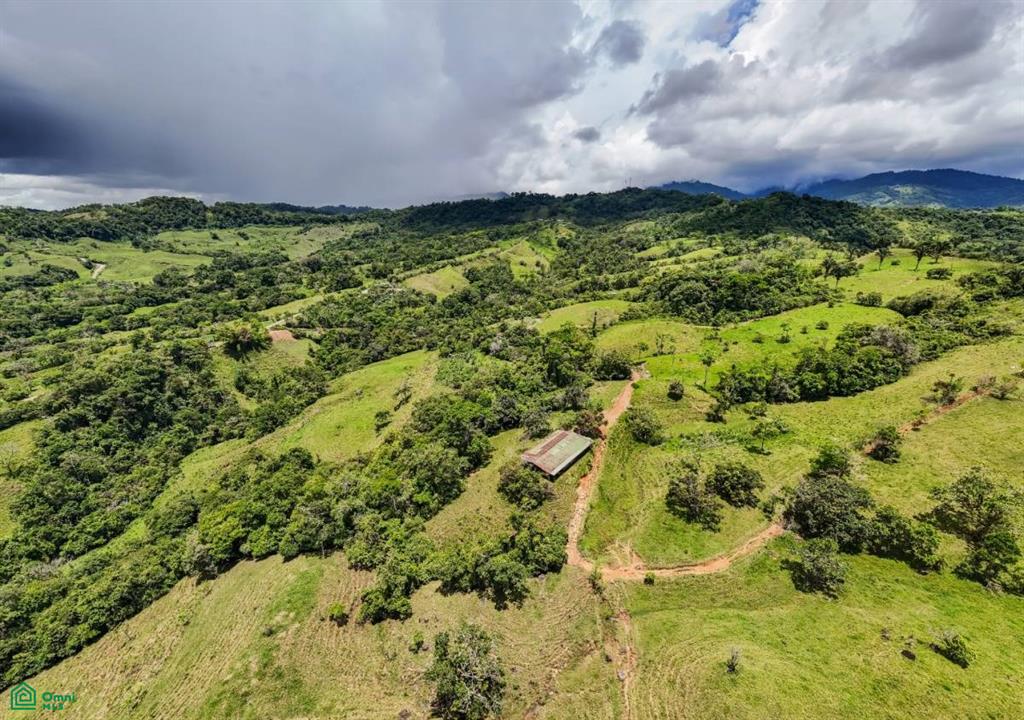 56-Acre Sustainable Farm for Sale in Limoncito, Coto Brus, Costa Rica – Abundant Water & Income Potential
