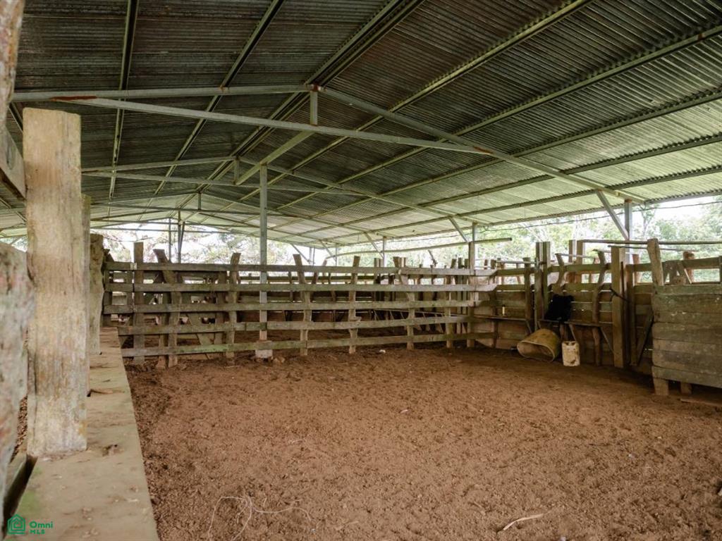 56-Acre Sustainable Farm for Sale in Limoncito, Coto Brus, Costa Rica – Abundant Water & Income Potential