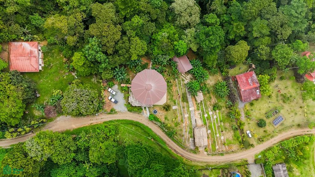 4C85+3GV, San José, Punta Mala Arriba , Puerto Cortés, Osa, Puntarenas