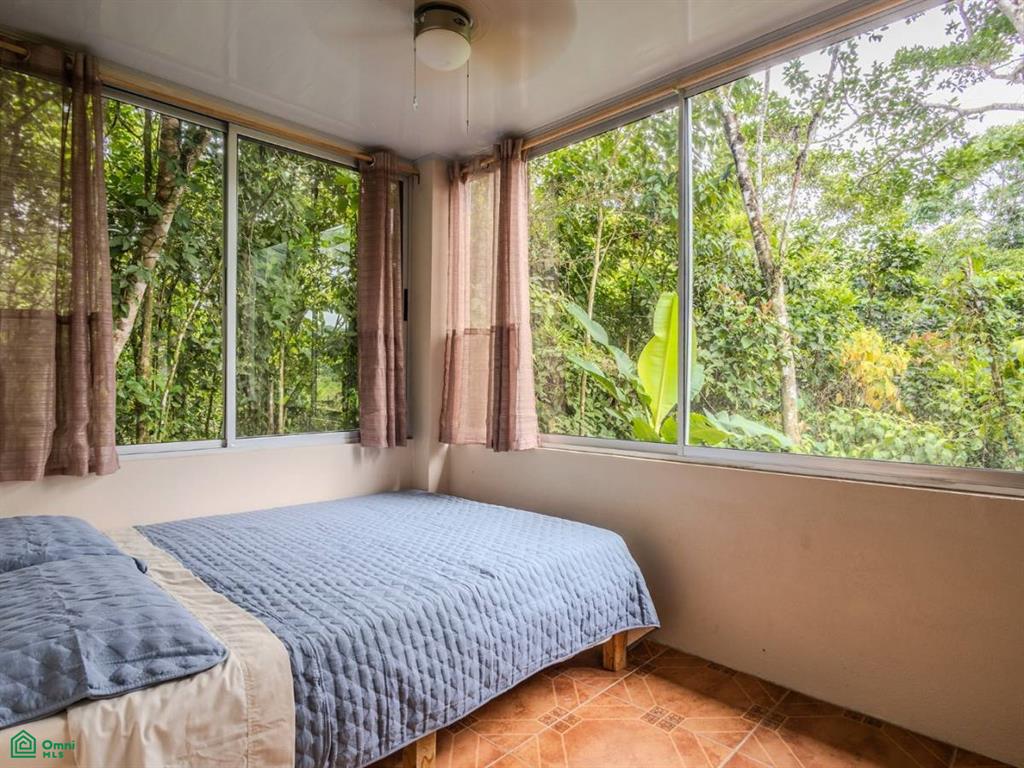 4C85+3GV, San José, Punta Mala Arriba , Puerto Cortés, Osa, Puntarenas