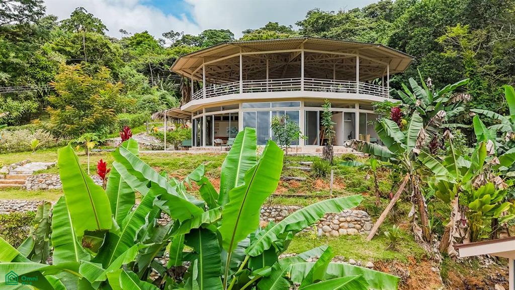 4C85+3GV, San José, Punta Mala Arriba , Puerto Cortés, Osa, Puntarenas