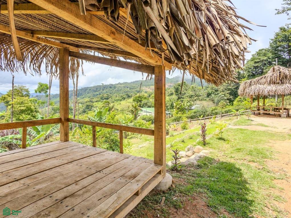 4C85+3GV, San José, Punta Mala Arriba , Puerto Cortés, Osa, Puntarenas