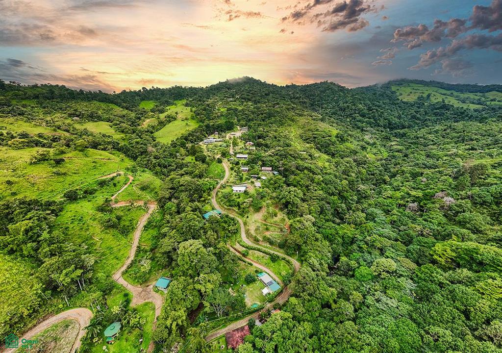 4C85+3GV, San José, Punta Mala Arriba , Puerto Cortés, Osa, Puntarenas