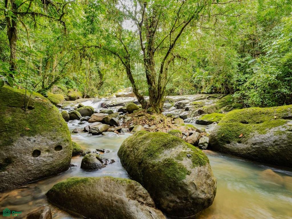 4C85+3GV, San José, Punta Mala Arriba , Puerto Cortés, Osa, Puntarenas