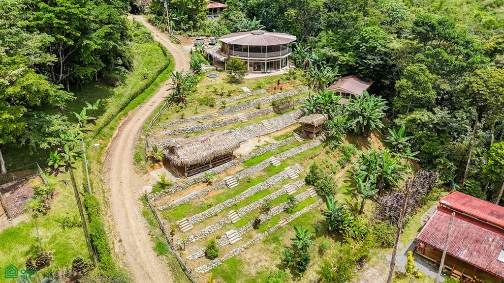 4C85+3GV, San José, Punta Mala Arriba , Puerto Cortés, Osa, Puntarenas