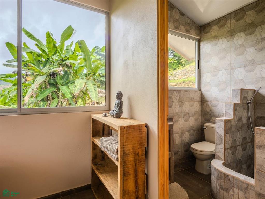 4C85+3GV, San José, Punta Mala Arriba , Puerto Cortés, Osa, Puntarenas