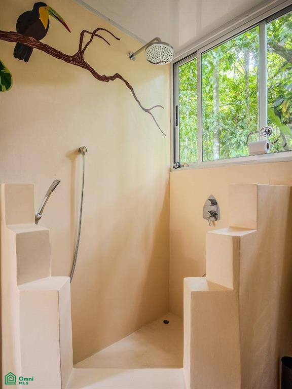 4C85+3GV, San José, Punta Mala Arriba , Puerto Cortés, Osa, Puntarenas