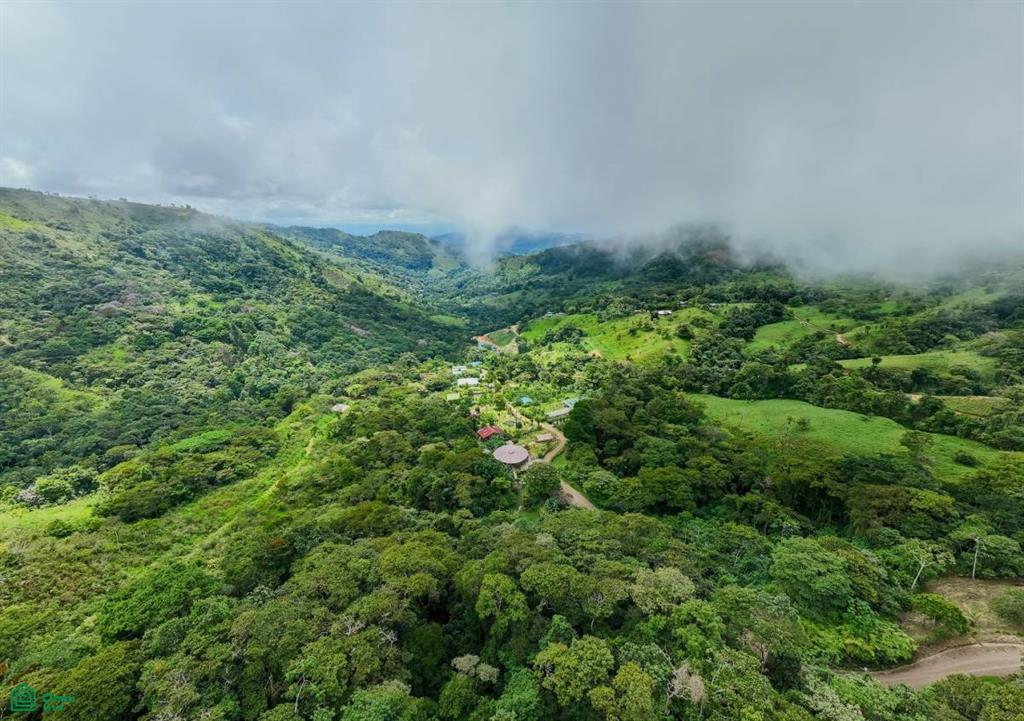 4C85+3GV, San José, Punta Mala Arriba , Puerto Cortés, Osa, Puntarenas