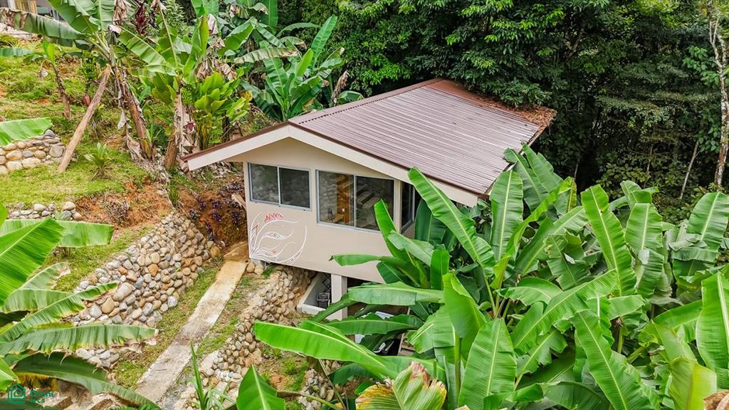 4C85+3GV, San José, Punta Mala Arriba , Puerto Cortés, Osa, Puntarenas