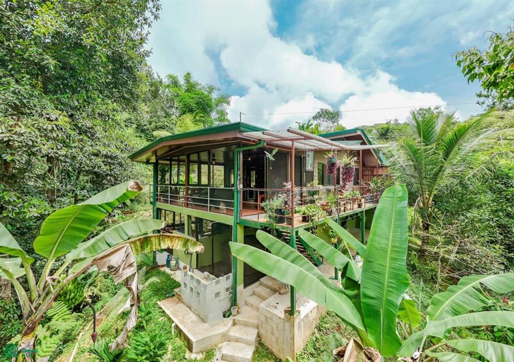 4C85+3GV, San José, Punta Mala Arriba , Puerto Cortés, Osa, Puntarenas