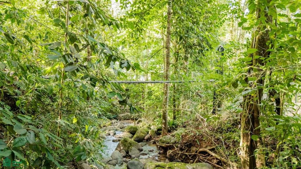 Self-Sustaining Mountain Estate for Sale in Costa Rica – 7.63 Acres with Waterfall, River & Multiple Homesites
