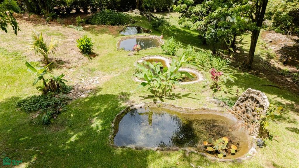 4C85+3GV, San José, Punta Mala Arriba , Puerto Cortés, Osa, Puntarenas