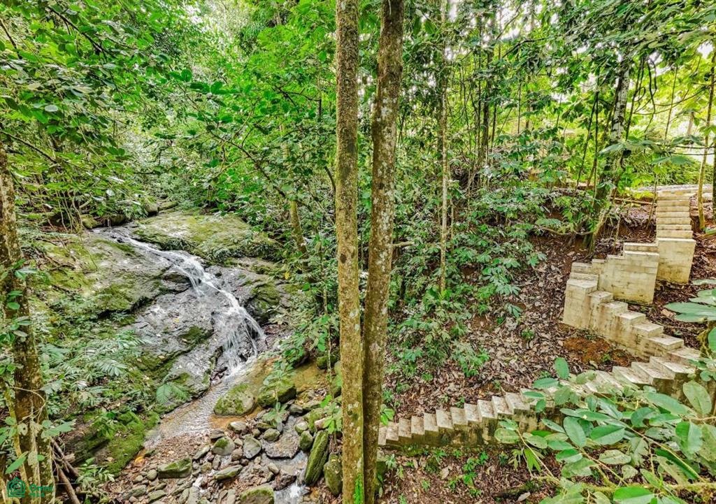 Self-Sustaining Mountain Estate for Sale in Costa Rica – 7.63 Acres with Waterfall, River & Multiple Homesites