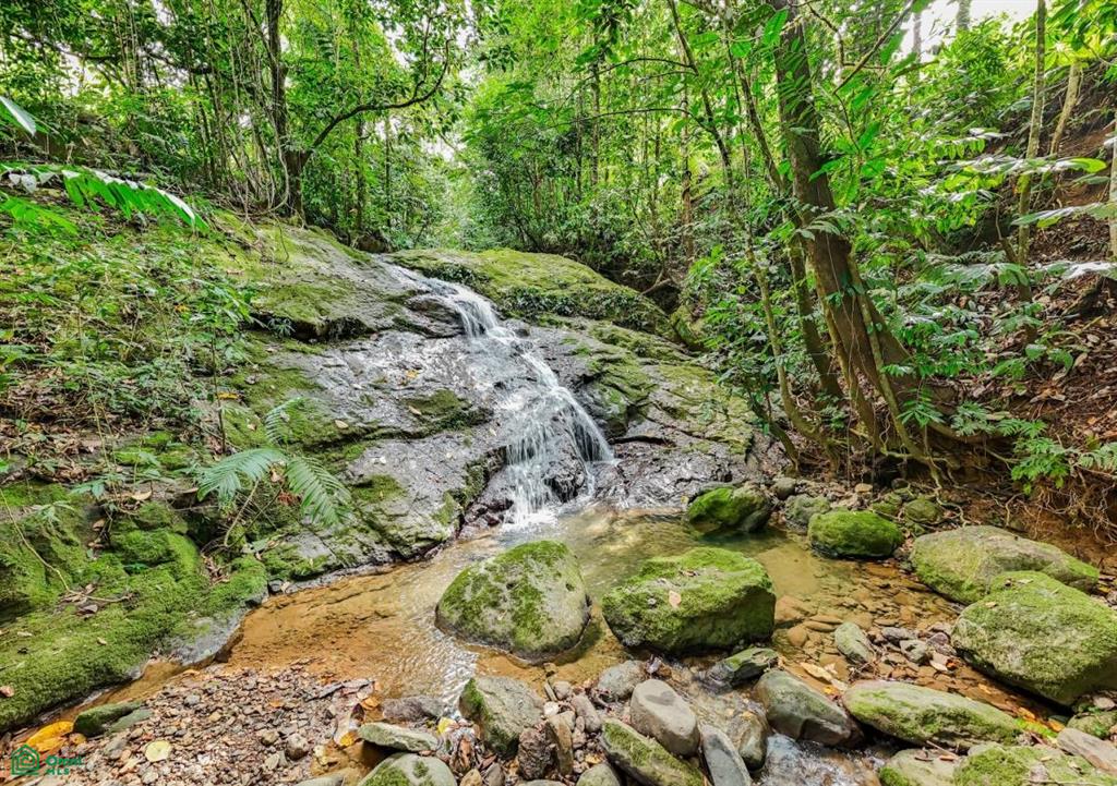 Self-Sustaining Mountain Estate for Sale in Costa Rica – 7.63 Acres with Waterfall, River & Multiple Homesites