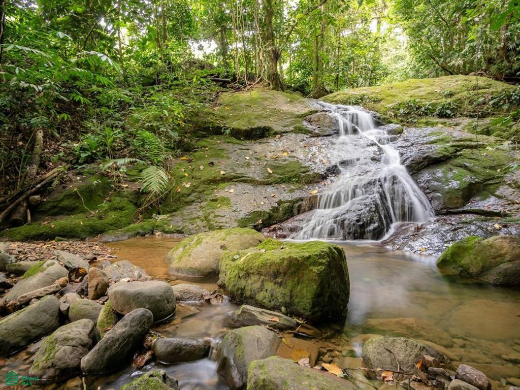 Self-Sustaining Mountain Estate for Sale in Costa Rica – 7.63 Acres with Waterfall, River & Multiple Homesites