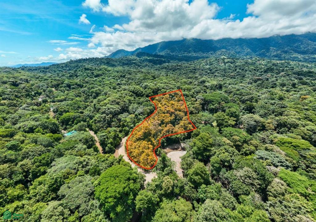 Riverfront Property for Sale in Cinco Ventanas, Costa Rica – 3.26 Acres with Easy Access Near Ojochal