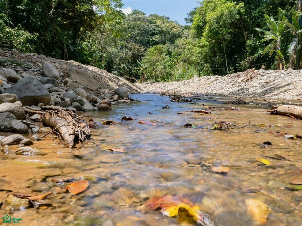 Riverfront Property for Sale in Cinco Ventanas, Costa Rica – 3.26 Acres with Easy Access Near Ojochal