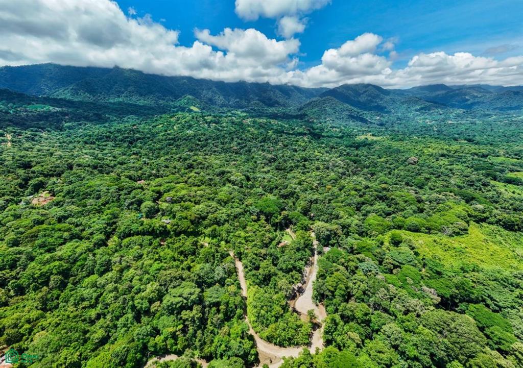 Riverfront Property for Sale in Cinco Ventanas, Costa Rica – 3.26 Acres with Easy Access Near Ojochal