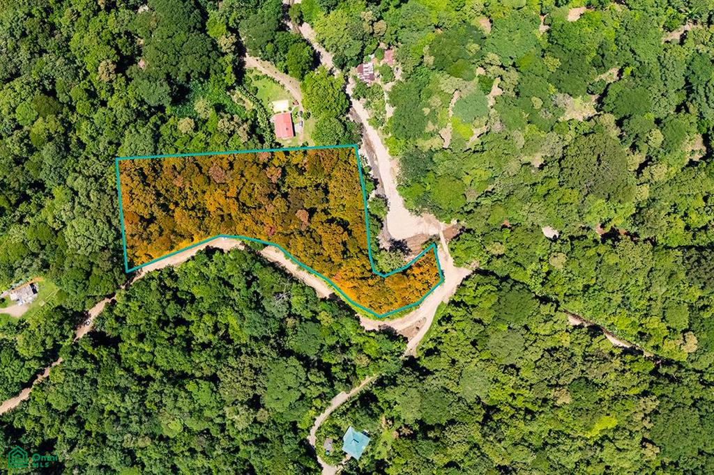 Riverfront Property for Sale in Cinco Ventanas, Costa Rica – 3.26 Acres with Easy Access Near Ojochal