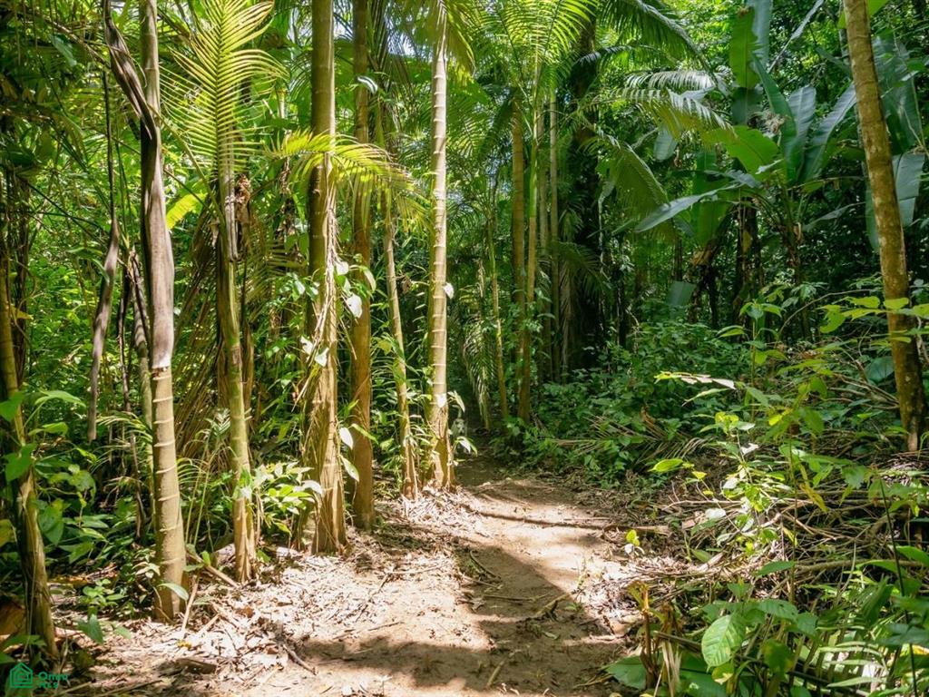Riverfront Property for Sale in Cinco Ventanas, Costa Rica – 3.26 Acres with Easy Access Near Ojochal