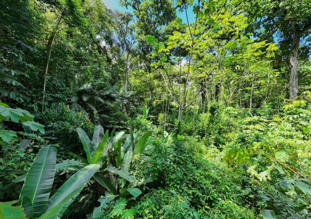 Riverfront Property for Sale in Cinco Ventanas, Costa Rica – 3.26 Acres with Easy Access Near Ojochal