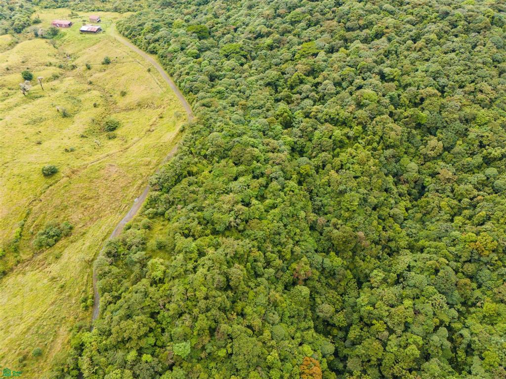 25-Acre Rainforest Conservation Property Next to Braulio Carrillo National Park – Volcano Views Near San José