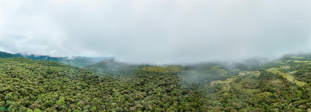 25-Acre Rainforest Conservation Property Next to Braulio Carrillo National Park – Volcano Views Near San José