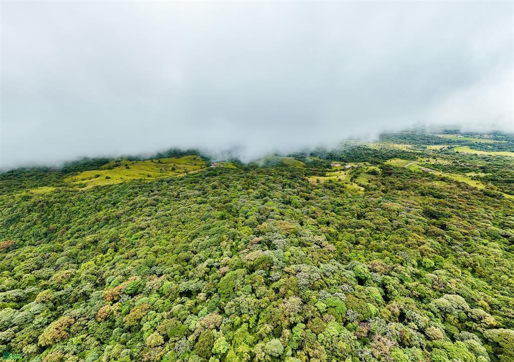 25-Acre Rainforest Conservation Property Next to Braulio Carrillo National Park – Volcano Views Near San José