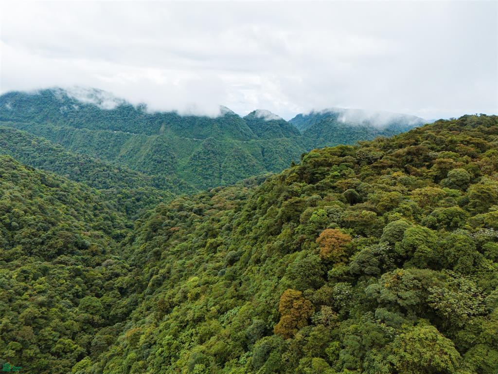 25-Acre Rainforest Conservation Property Next to Braulio Carrillo National Park – Volcano Views Near San José