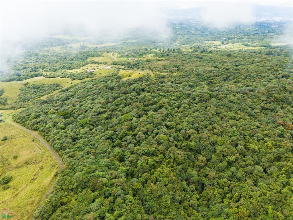 25-Acre Rainforest Conservation Property Next to Braulio Carrillo National Park – Volcano Views Near San José
