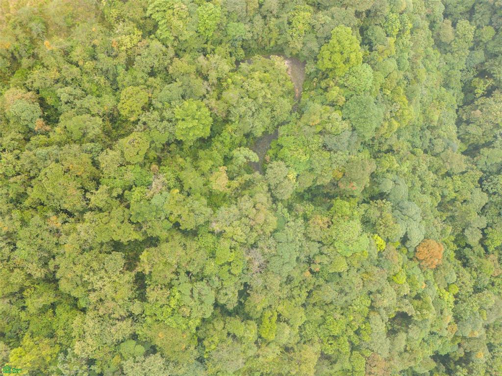 25-Acre Rainforest Conservation Property Next to Braulio Carrillo National Park – Volcano Views Near San José