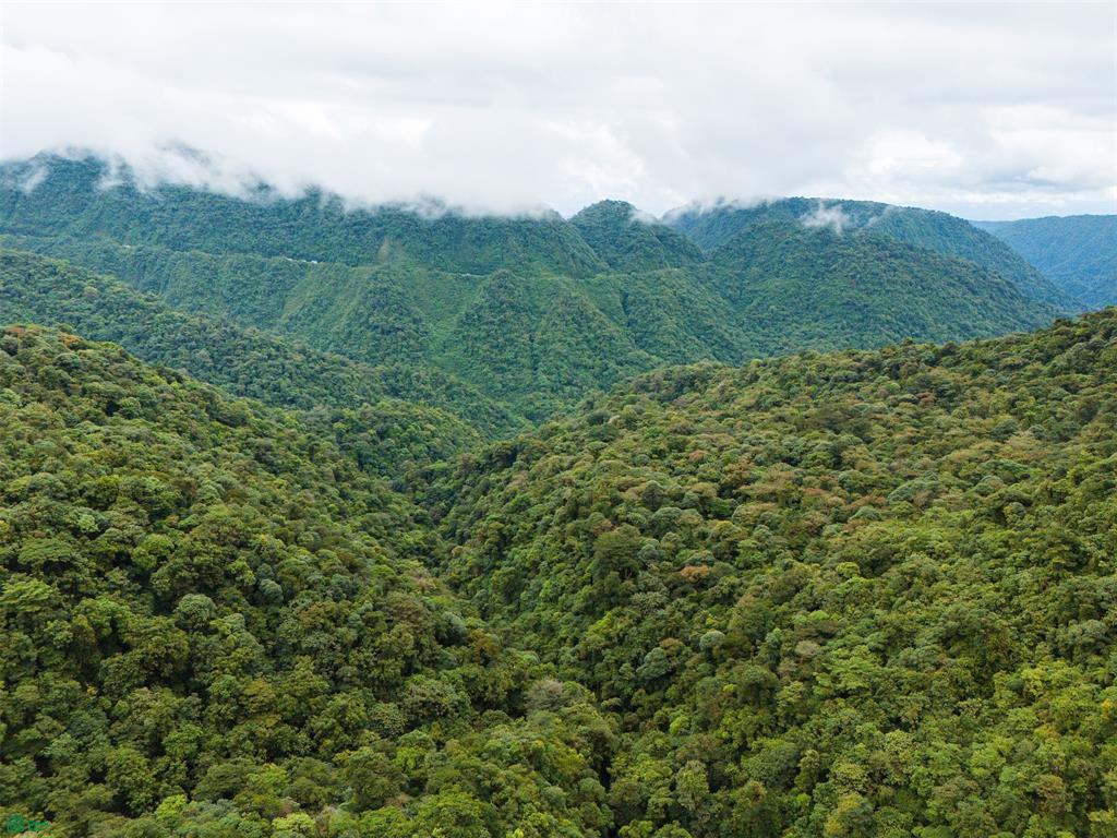 25-Acre Rainforest Conservation Property Next to Braulio Carrillo National Park – Volcano Views Near San José
