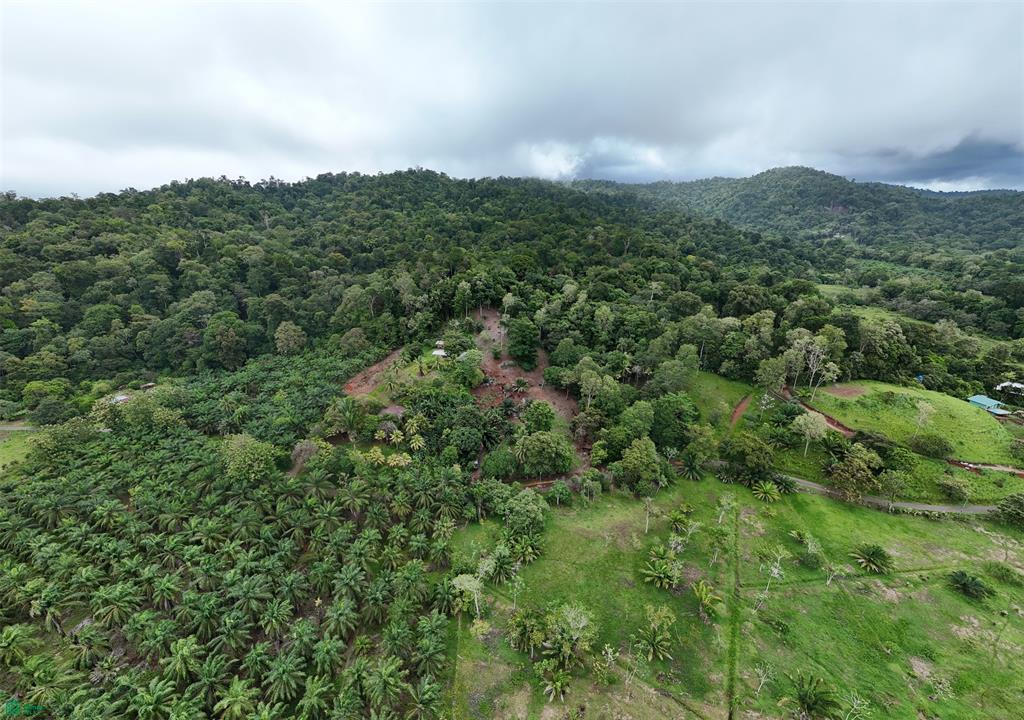 Ocean-View Land for Sale in Drake Bay – Ready to Build with Services Installed