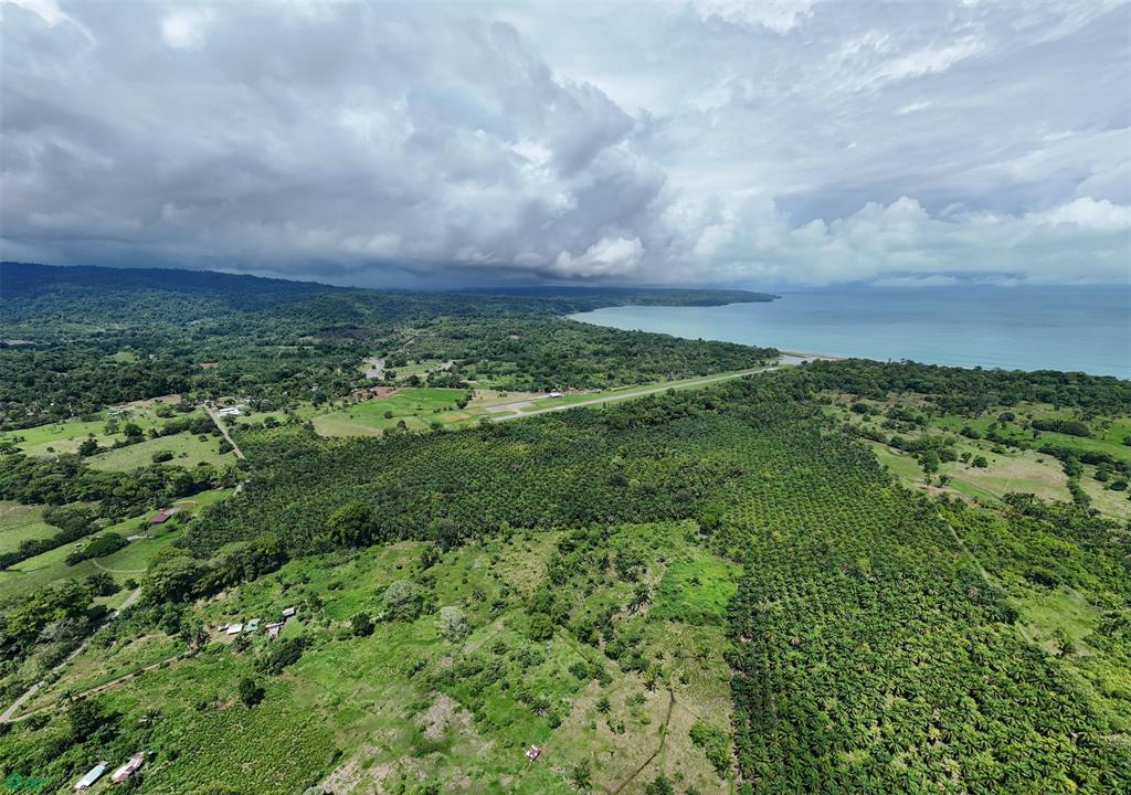 Ocean-View Land for Sale in Drake Bay – Ready to Build with Services Installed