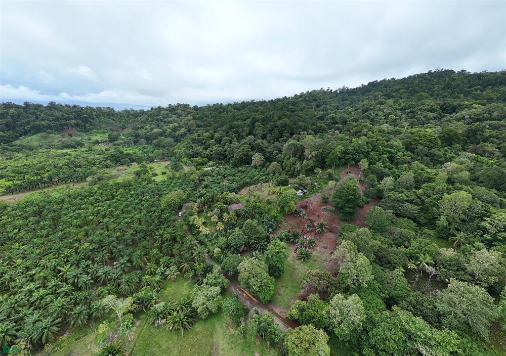 Ocean-View Land for Sale in Drake Bay – Ready to Build with Services Installed