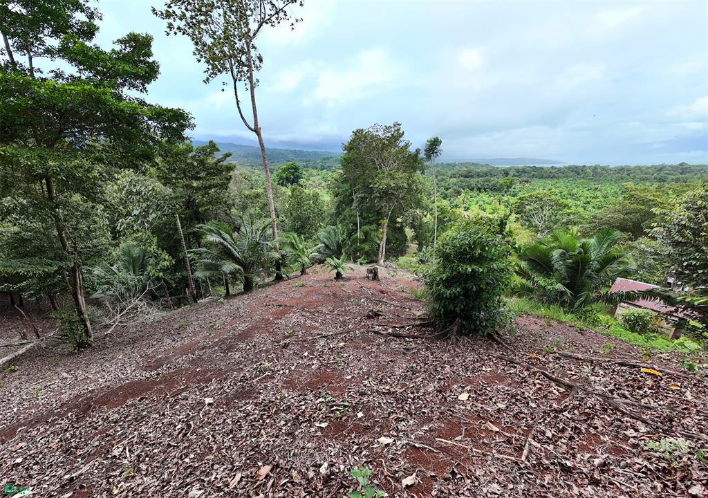 Ocean-View Land for Sale in Drake Bay – Ready to Build with Services Installed