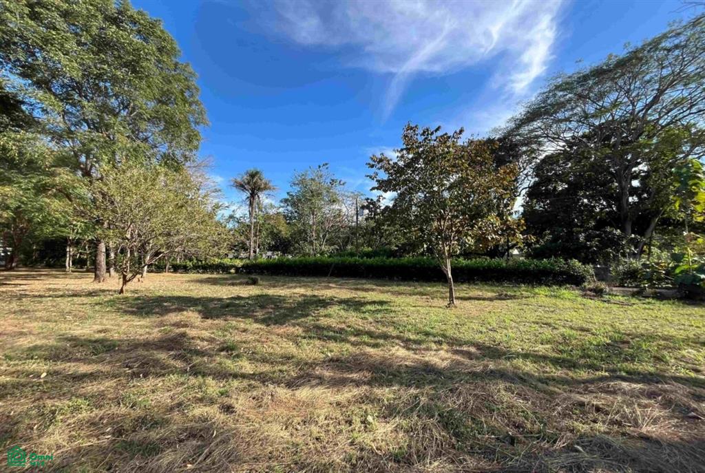 5,000 m² Lot in Bosques de Pinilla Near Playa Avellanas – Close to Surf & Beaches
