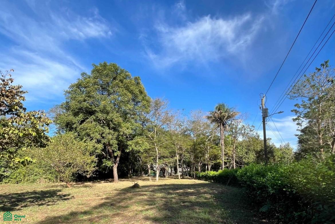 Cleared grassy lot bordered by tropical trees and hedges, with utility lines overhead.