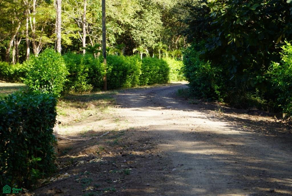 5,000 m² Lot in Bosques de Pinilla Near Playa Avellanas – Close to Surf & Beaches